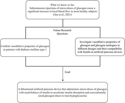 Vasodilatory effects of glucagon: A possible new approach to enhanced subcutaneous insulin absorption in artificial pancreas devices